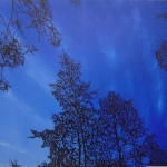 Tammio 90 x 61 cm Oil acrylic and ink on canvas. 2008