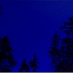 Clearing. 65 x 35 cm Oil acrylic and ink on canvas. 2008