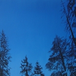 Metsassa 110 x 49 cm Acrylic and ink on canvas. 2009