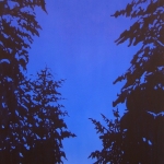 Metsan Polku 100 x 190 cm Oil, acrylic & ink on canvas. 2007