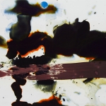 Wilderness in Paint #22 21 x 30 cm Acrylic, ink, oil on paper. 2011
