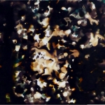 Wilderness in Paint #28 21 x 30 cm Acrylic, ink, oil on paper. 2011